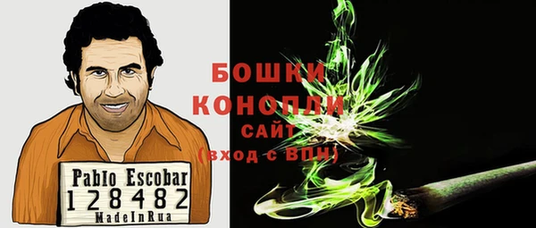 mix Гусиноозёрск