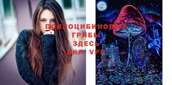 mix Гусиноозёрск