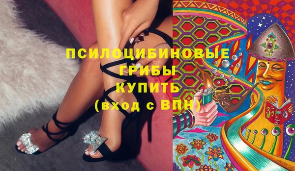 mix Гусиноозёрск